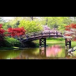 Meet your Posher, Bernadette